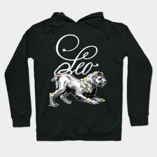 LEO sign Hoodie